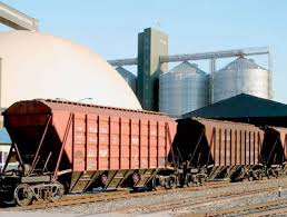 «Укрзалізниця» у І півріччі знизила навантаження зернових вантажів на 7,5%